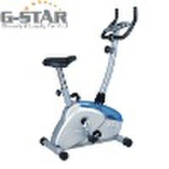 GS-6.5B Hot Sales Magnetic Bike