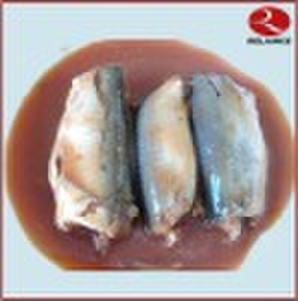 Canned Mackerel in tomato sauce