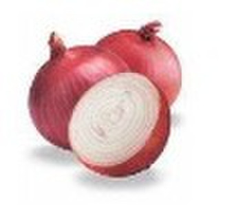 New Crop Chinese Red Fresh Onion