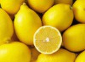Fresh Chinese Lemon in 15KG/ Carton Package