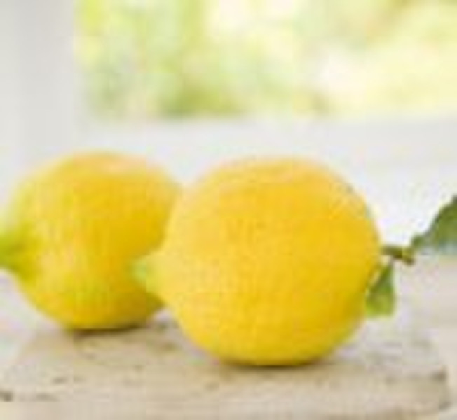 Fresh Chinese Lemon in 15KG/ Carton Package