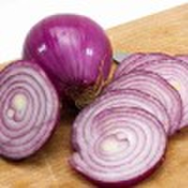 New Crop Chinese Red Fresh Onion