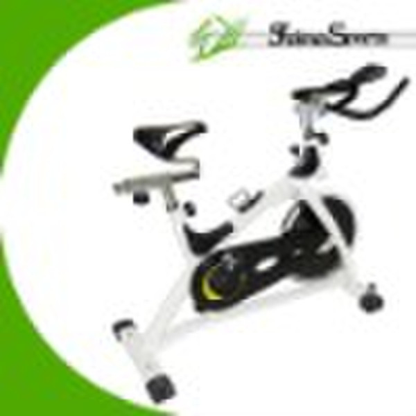 Exercise Bike (RB5020A)