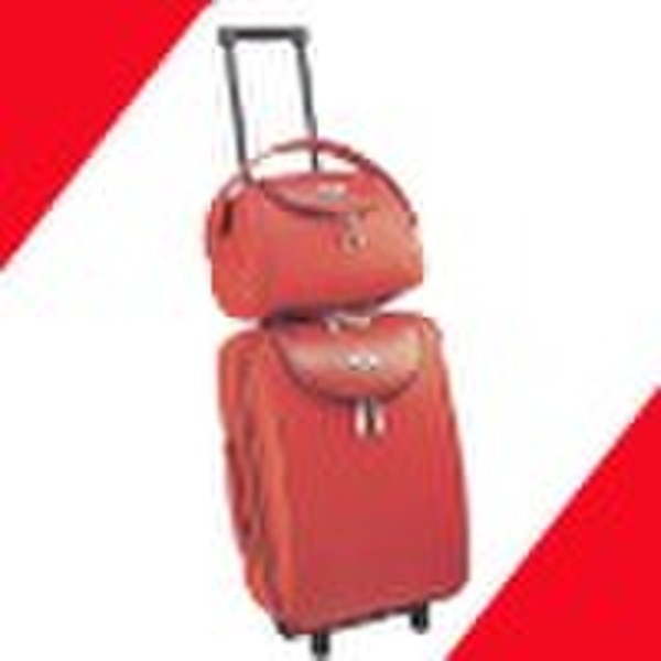 Leather Travel Trolley Luggage bag