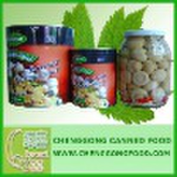 Canned Mushroom (p & s, ganz, Scheiben)