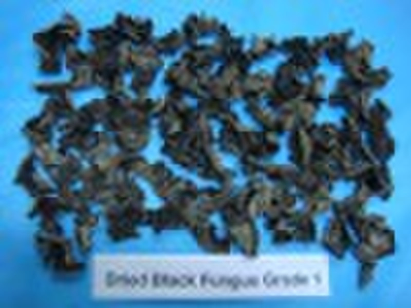 Dried Black Fungus