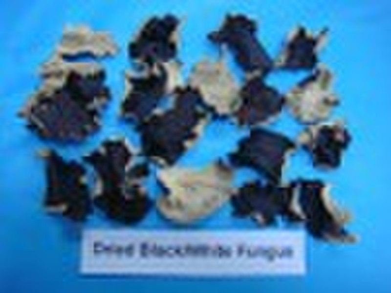 Getrocknete White / Black Fungus Wholes