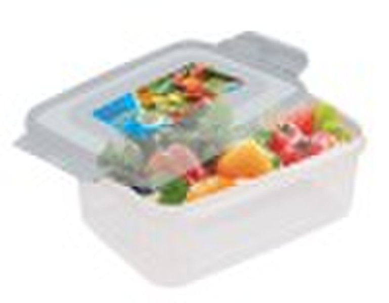 WF0183-1 White  PP Plastic Box/ Plastic food conta