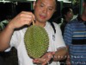 durian