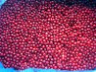 Frozen lingonberry