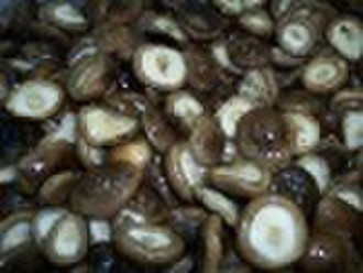 Gefrorene Shiitake