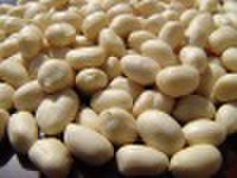 Roasted Peanut Kernels(blanched)