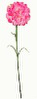 26"GIFT SILK FLOWER CARNATION X 1 FLWS