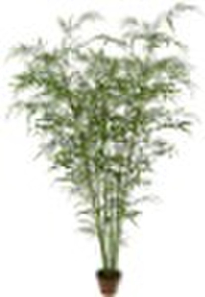 6'HOUSE PLANT SLIM BAMBOO TREE X 1855LVS