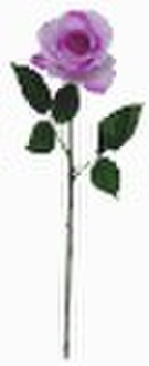 28" GIFT FLOWER KAREN ROSE X 1 FLW