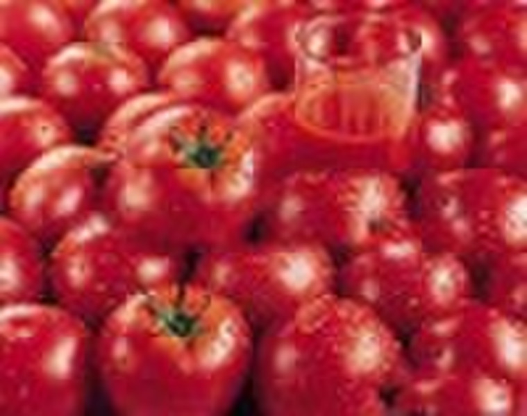 tomato paste in drm(28-30%,30-32% and 36-38 brix)