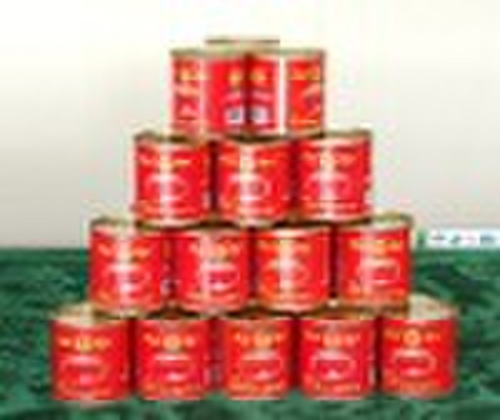 canned tomato  paste(2010 new material)