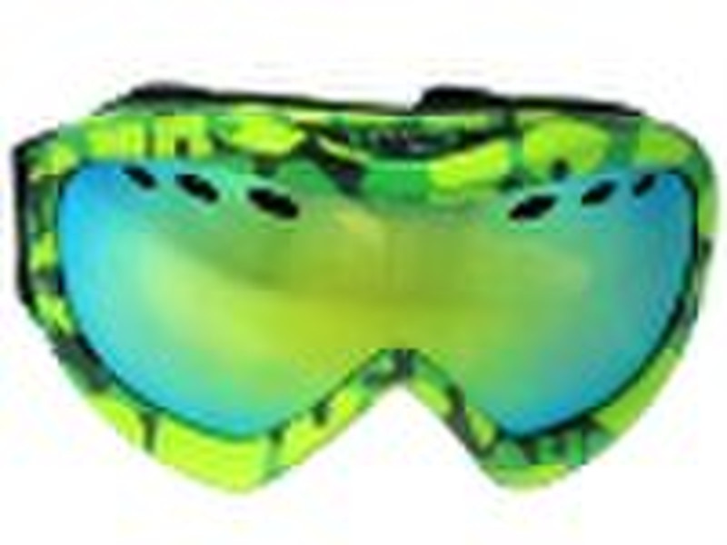 2010  New Design Ski Goggles