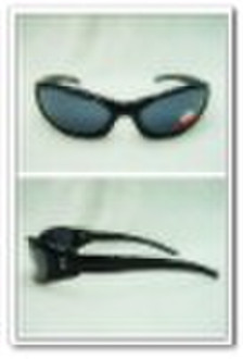 2010 new style plastic sunglasses