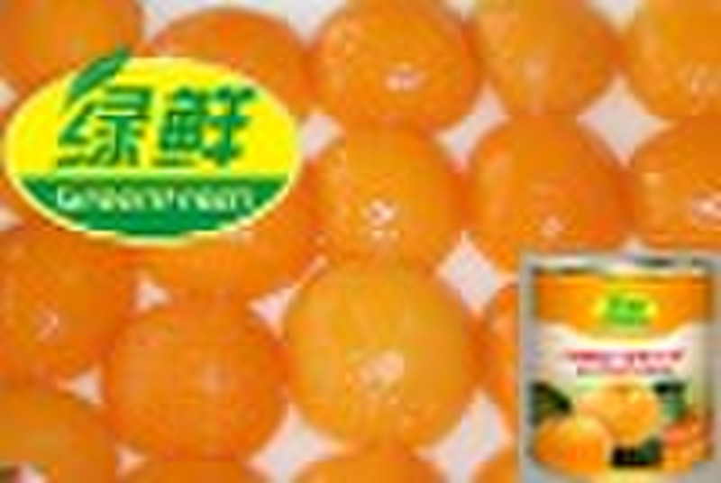 Canned Apricot Halves in light syrup, 3000g x 6, d