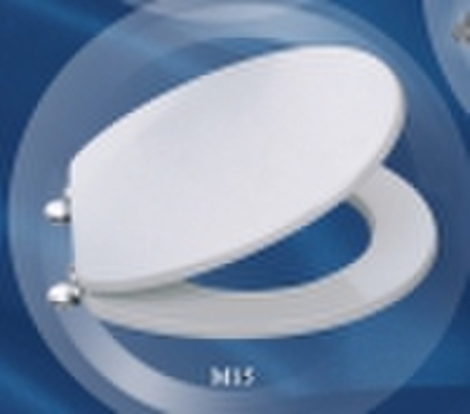 M15 toilet seat