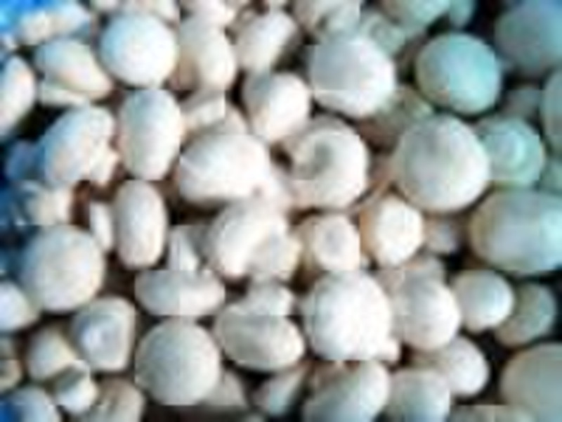 Frozen mushroom (Agaricus bisporus)