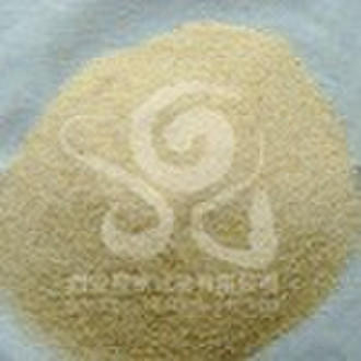 Dried / Dehydrated Garlic Powder