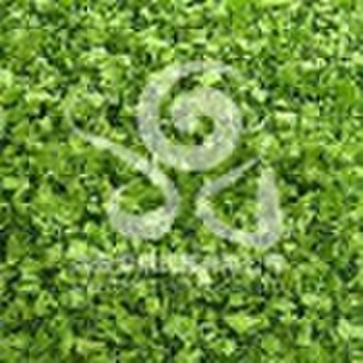 Dried/dehydrated Spring Onion Chives