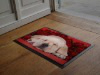 door mat