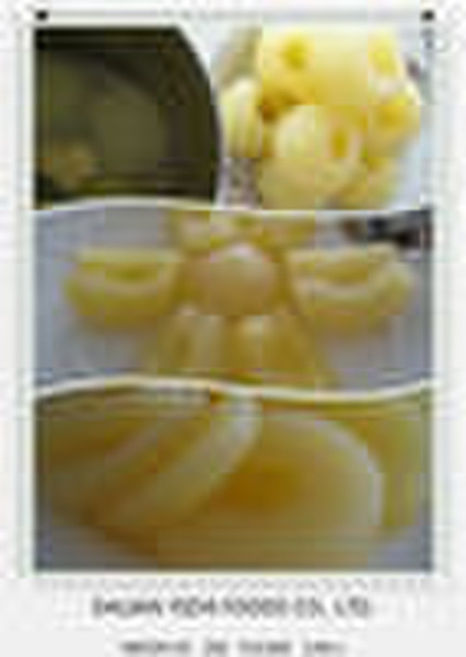 Canned Apple in Licht-Sirup