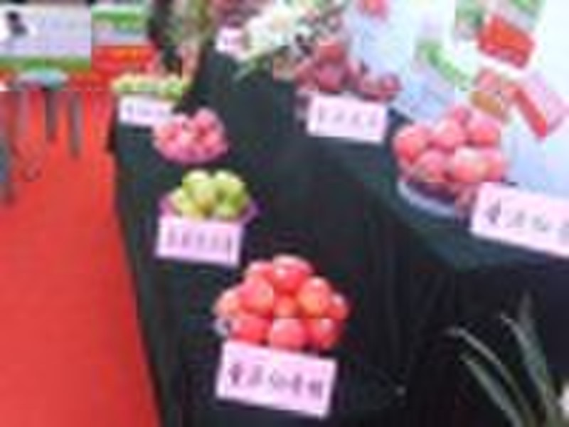 供应新鲜的富士苹果红色的星苹果huaniu appl