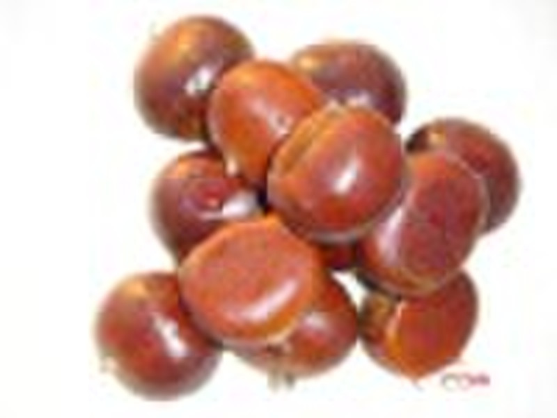 CHESTNUTS