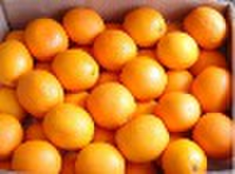 Fresh navel orange