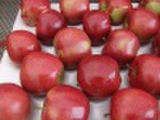 red huaniu apple