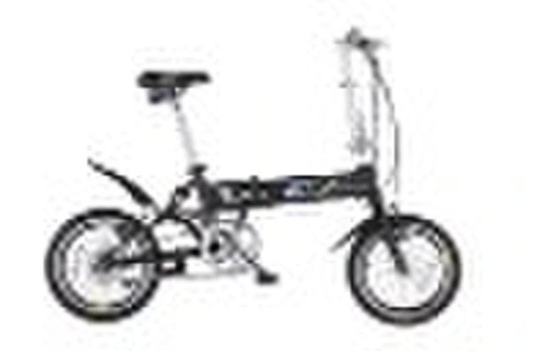 Pathway electric bicycle