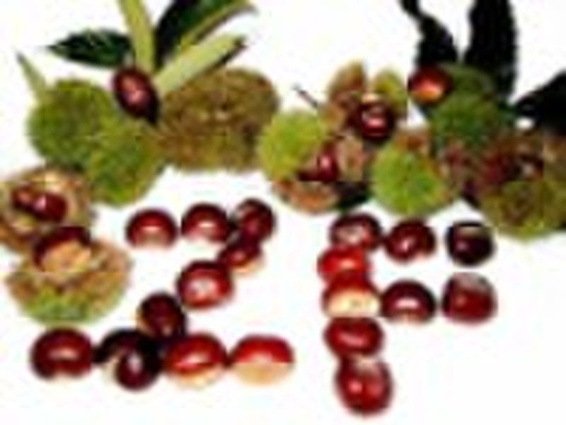 Fresh chestnuts(60-80)