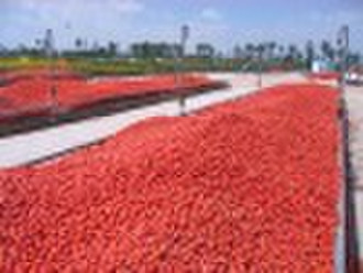 canned tomato paste, ketchup