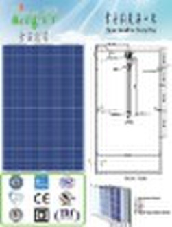 Solar module(QSSM-250P)