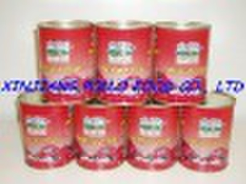 canned tomato paste