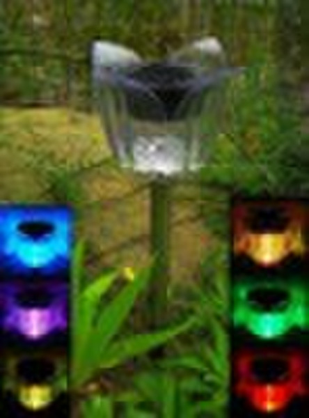 solar tulip light