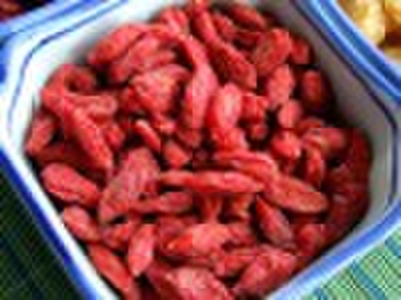 Chinese goji berry