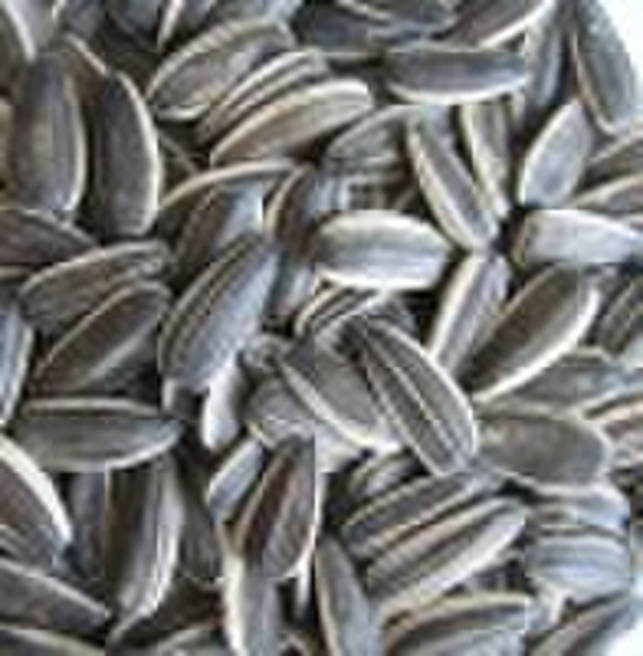 Sunflower Seeds