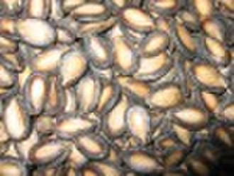 Black melon seeds