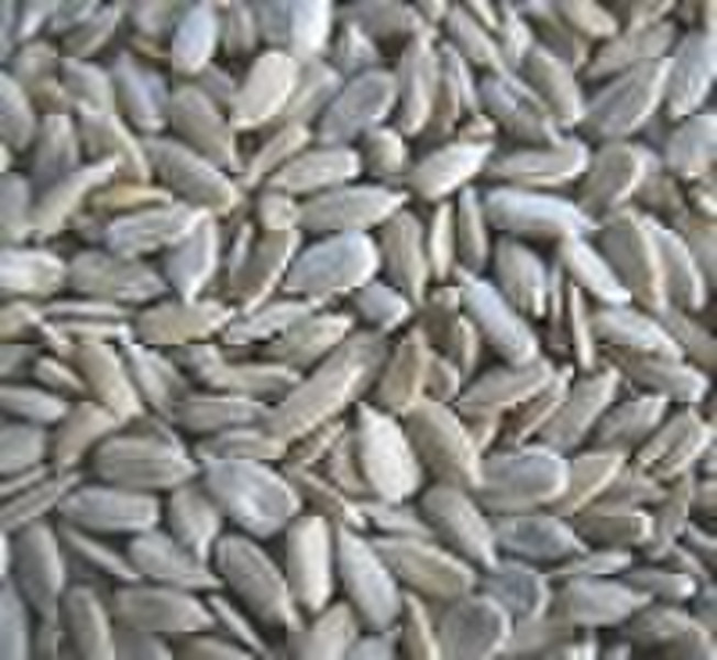 sunflower seed kernels