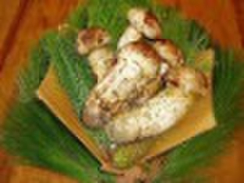 Matsutake