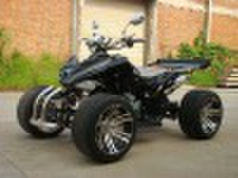 250CC EEC QUAD XS-D055-1