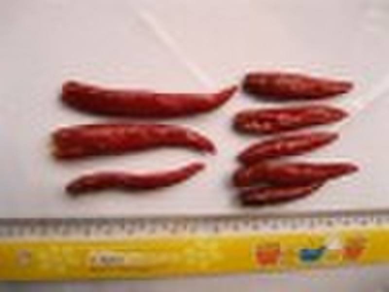 salted small red chili