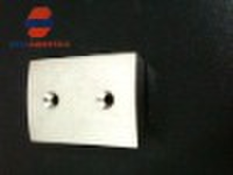 Sintered NdFeB Magnet (special shape)