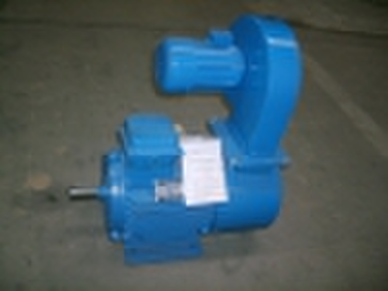 YLJ, YDLJ Series Torque 3-Phase Asynchronous Motor