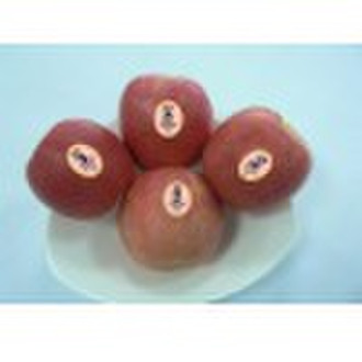 Panda Pink & Panda Fuji